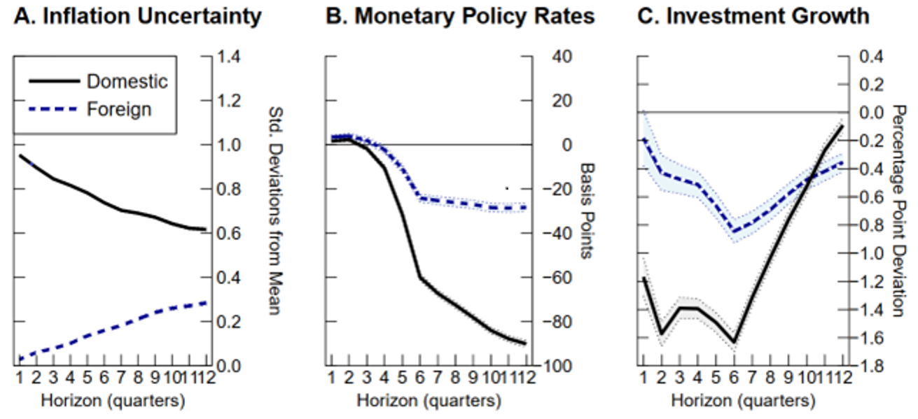 Figure 2. Domestic and spillover effects of inflation uncertainty. See accessible link for data.